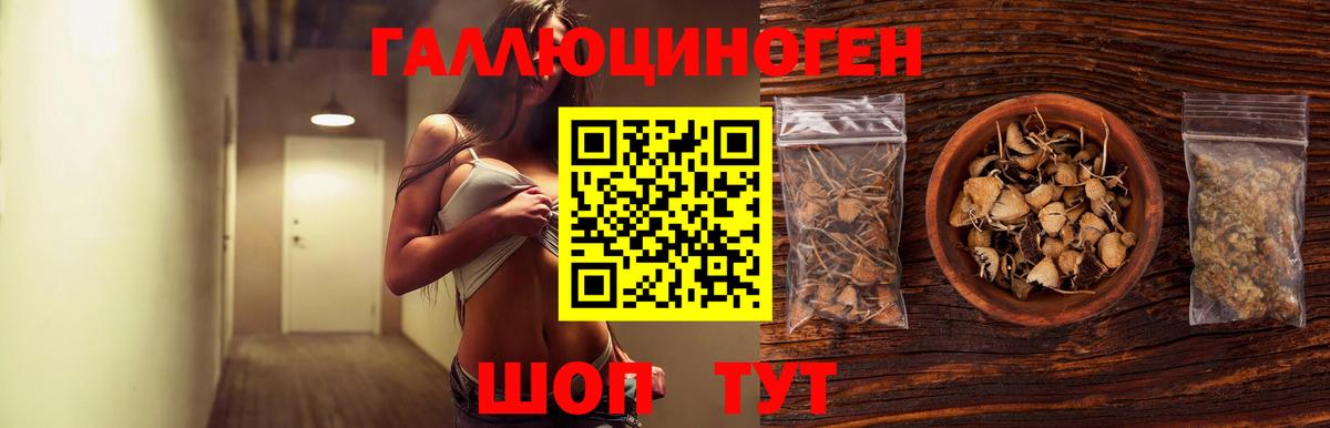Тверь  Галлюциногенные грибы MAGIC MUSHROOMS  Вход с VPN 